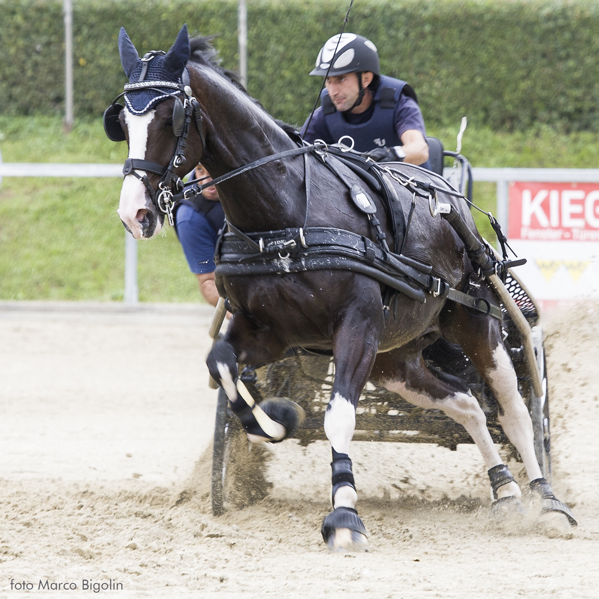 Eurotech Kombigeschirr