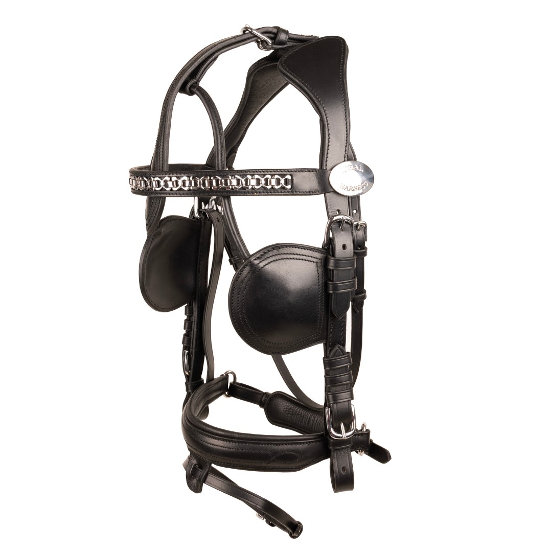 Fahrzaum Deluxe anatomic